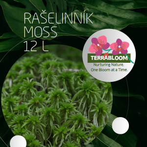raselinnik-1.png
