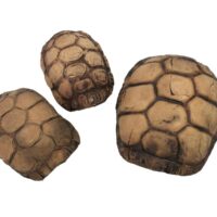 45049-45050-45051-Turtle-caves-b.jpg
