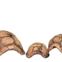 45049-45050-45051-Turtle-caves-e.jpg