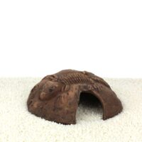 45344-Fossil-stone-brown-XS-b.jpg
