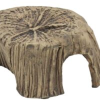45351-Tree-stump-b.jpg