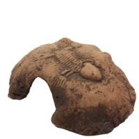 45384.1-Fossil-stone-brown-M.jpg