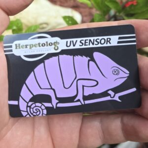 UV3.jpeg