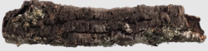 dekoracia-korkova-kora-XXL.png