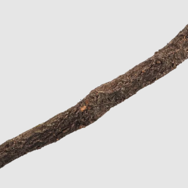 Korkový konár XL 90-120cm