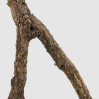 dekoracia-korkova-vetva-M-30-60-cm.png