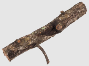 dekoracia-korkova-vetva-S-15-30-cm.png