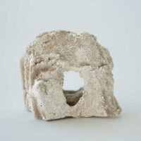 kamen-nano-1.jpg
