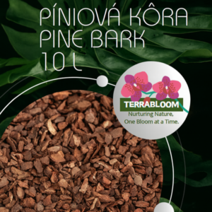 piniova-kora-1.png