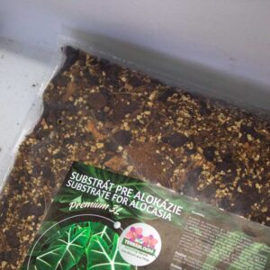 Terrabloom_substrat_alokazie2